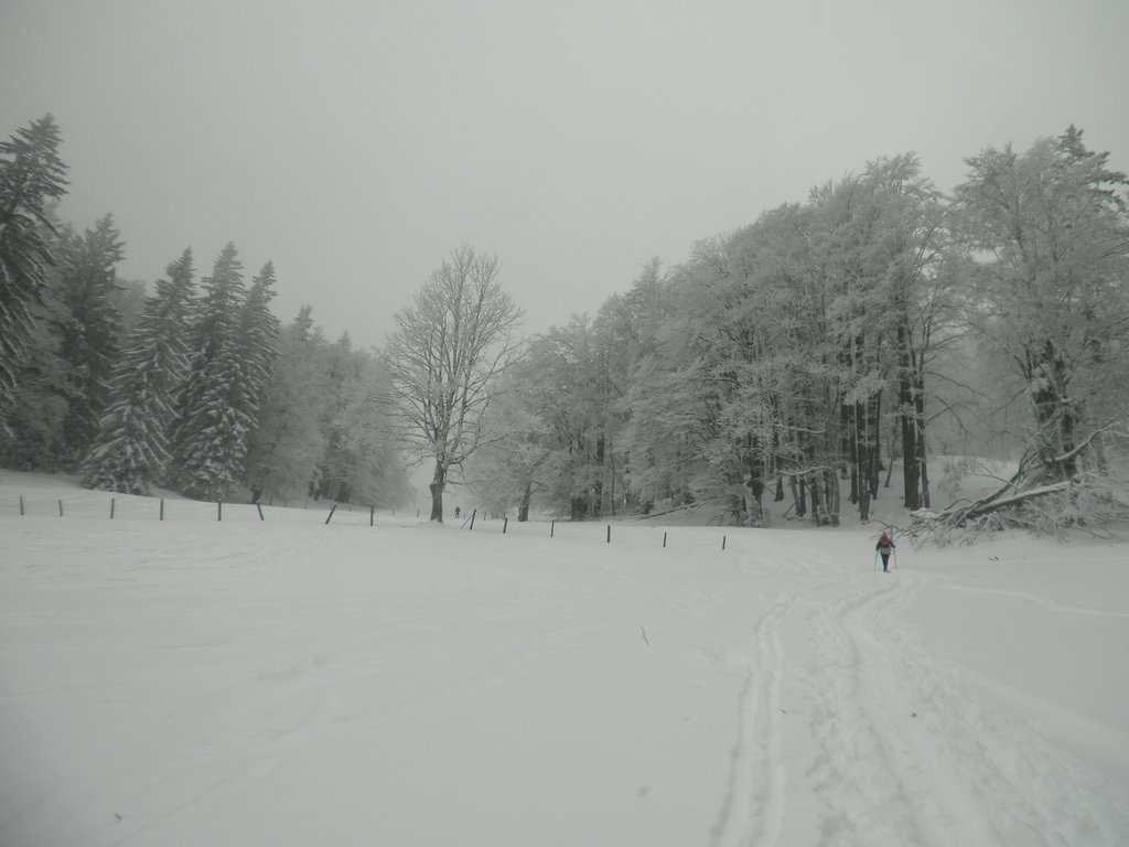 P1100007.JPG