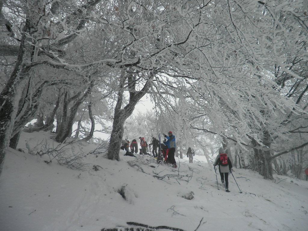 P1100008.JPG