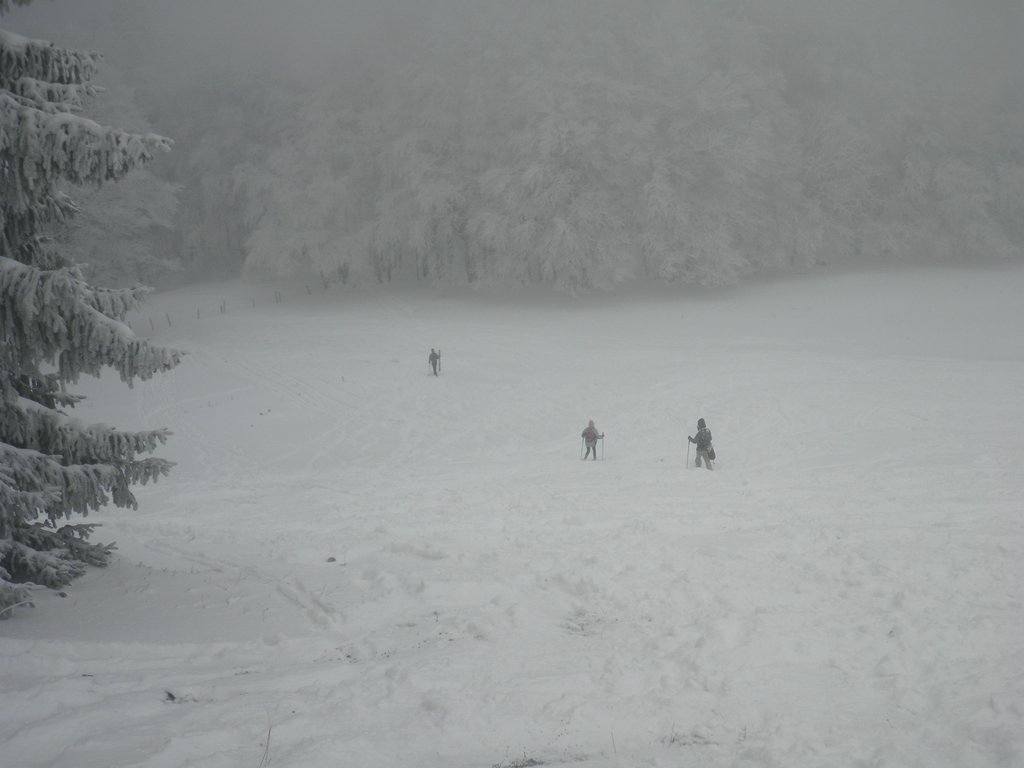 P1100010.JPG