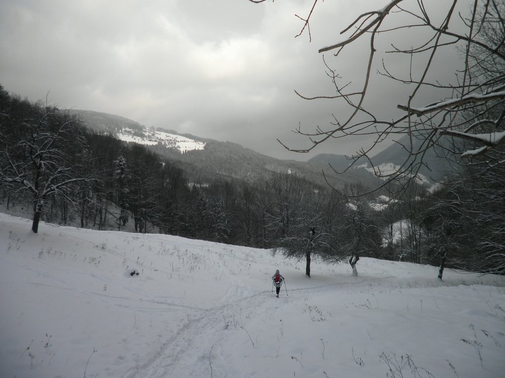 P1100014.JPG
