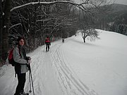 P1100002.JPG
