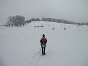 P1100003.JPG
