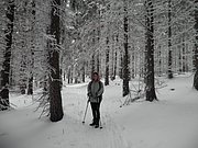 P1100005.JPG