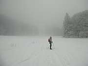 P1100006.JPG
