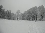 P1100007.JPG