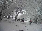 P1100008.JPG