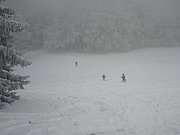 P1100010.JPG