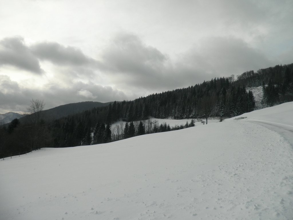 PB270002.JPG
