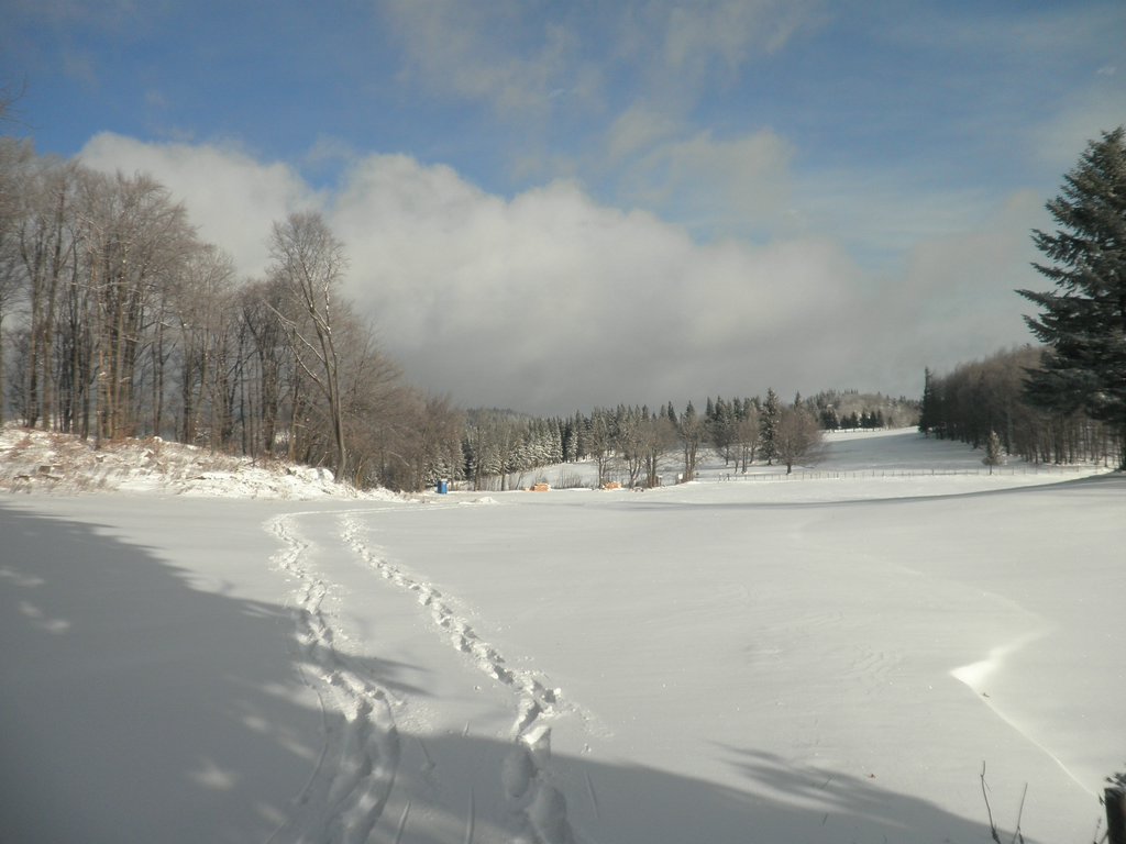 PB270004.JPG