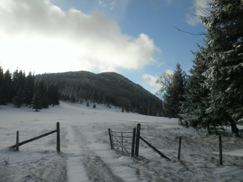 PB270005.JPG