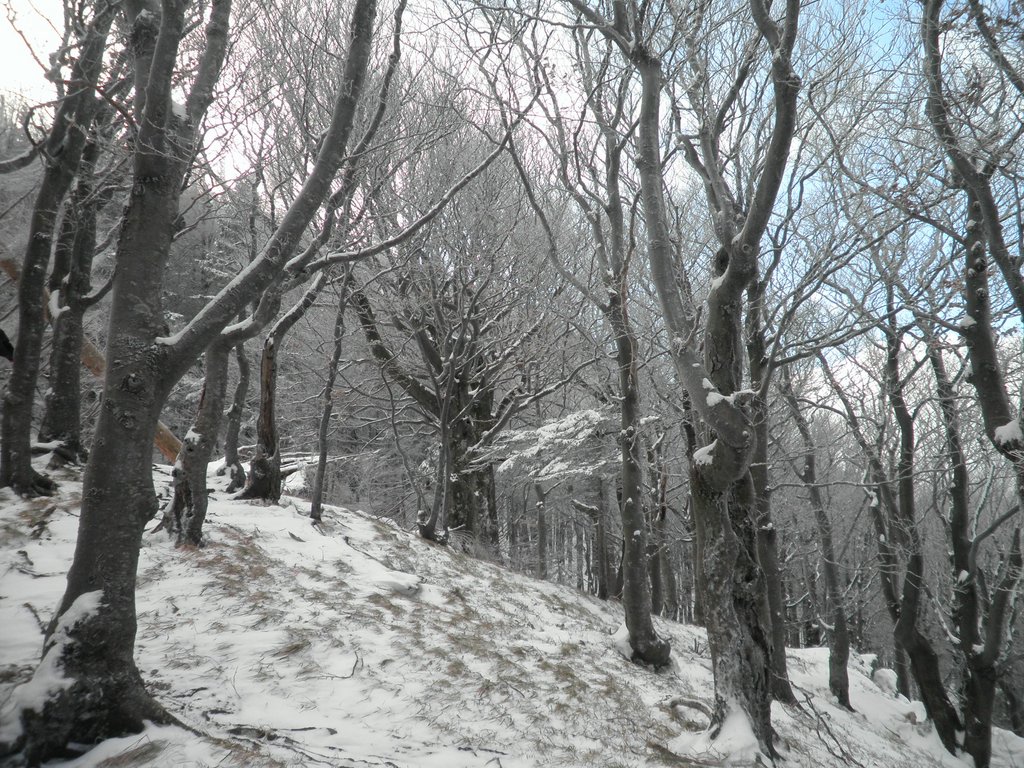 PB270006.JPG