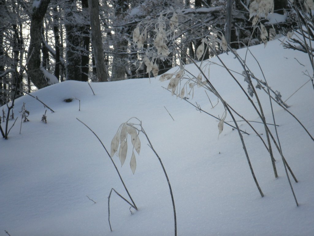 PB270011.JPG