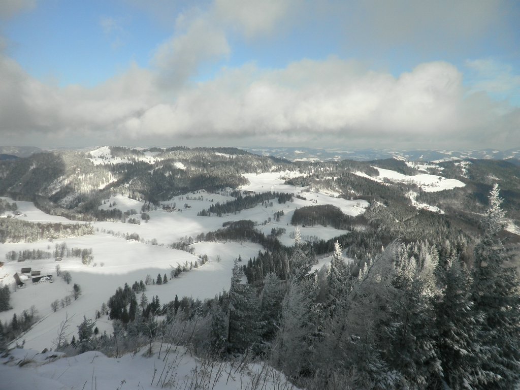 PB270012.JPG