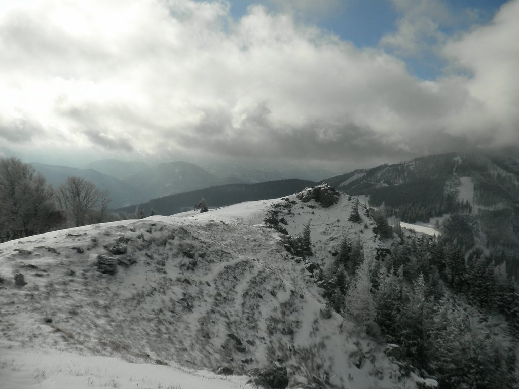 PB270022.JPG