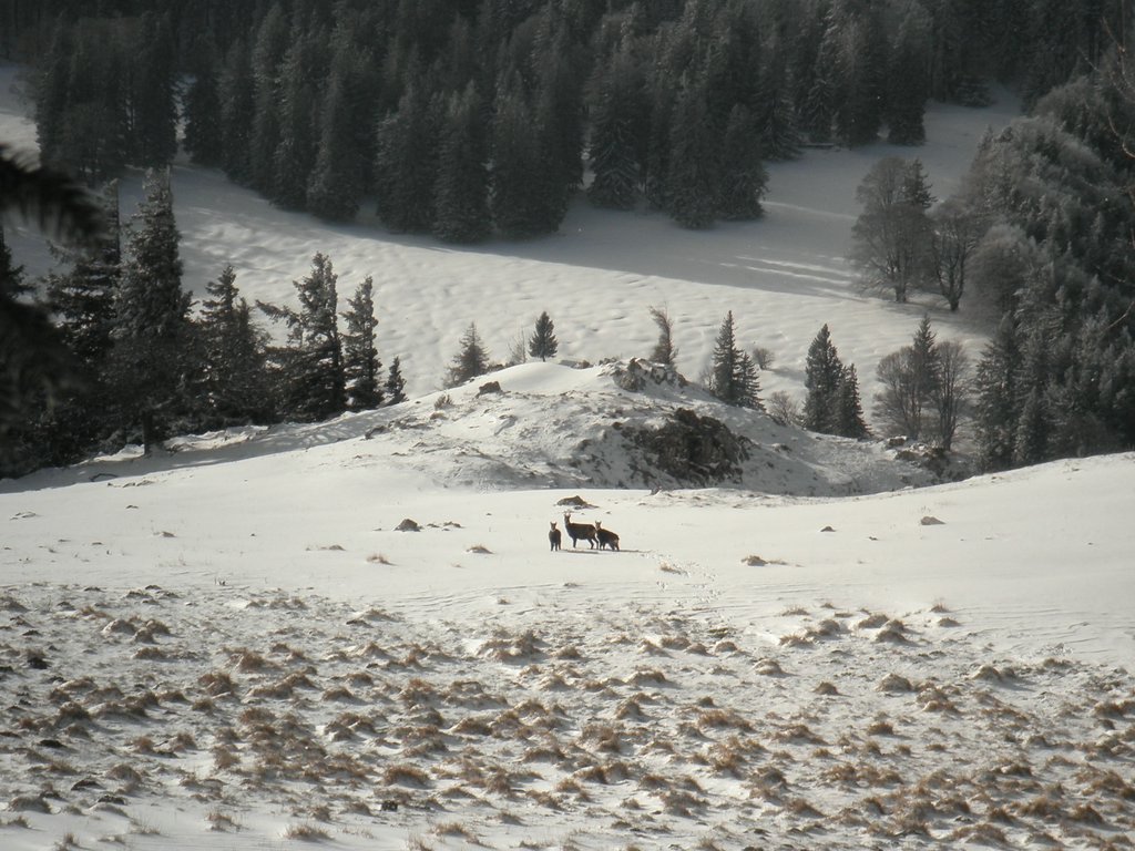 PB270032.JPG