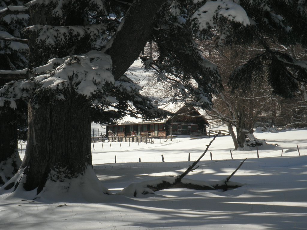 PB270037.JPG