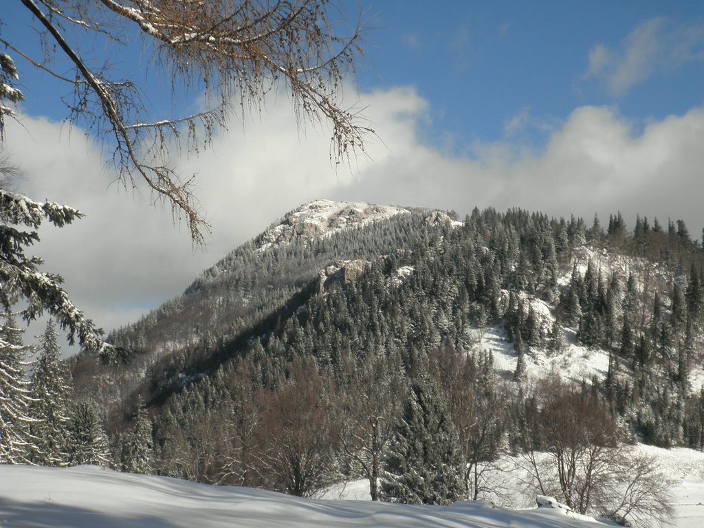 PB270039.JPG