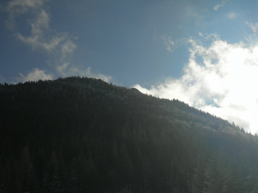 PB270048.JPG