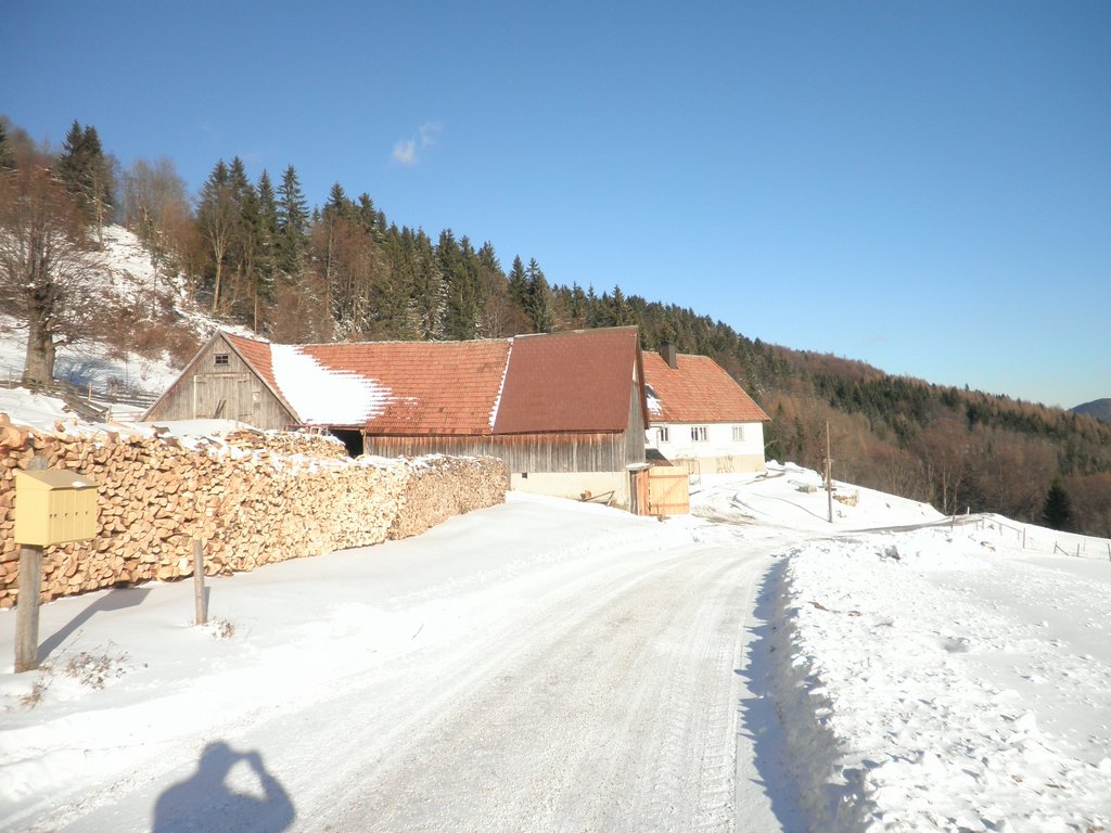 PB270054.JPG