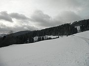 PB270002.JPG