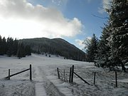 PB270005.JPG