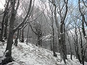PB270006.JPG