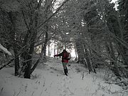 PB270010.JPG