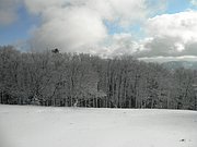 PB270023.JPG