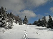 PB270026.JPG