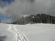 PB270034.JPG