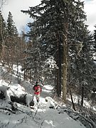 PB270035.JPG