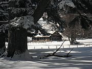 PB270037.JPG