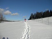PB270047.JPG