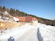 PB270054.JPG
