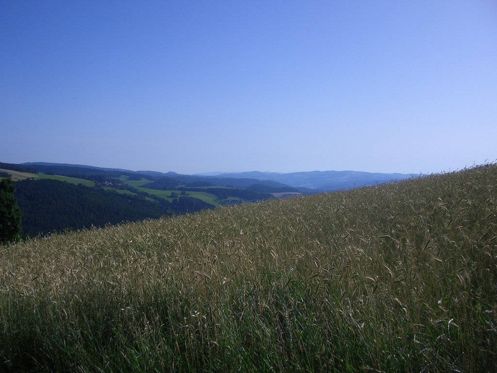 CIMG6360.JPG