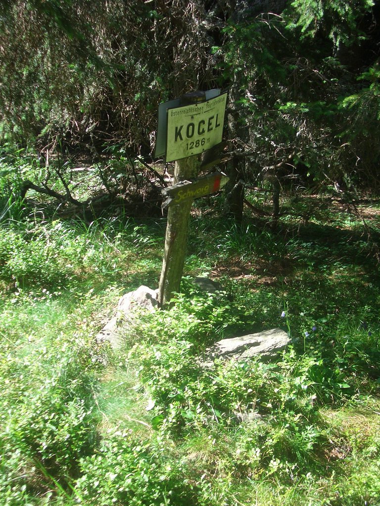 CIMG6369.JPG