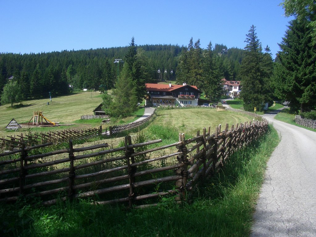 CIMG6375.JPG