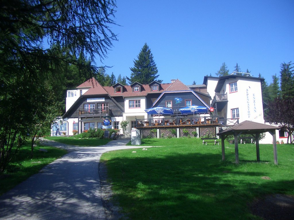 CIMG6376.JPG