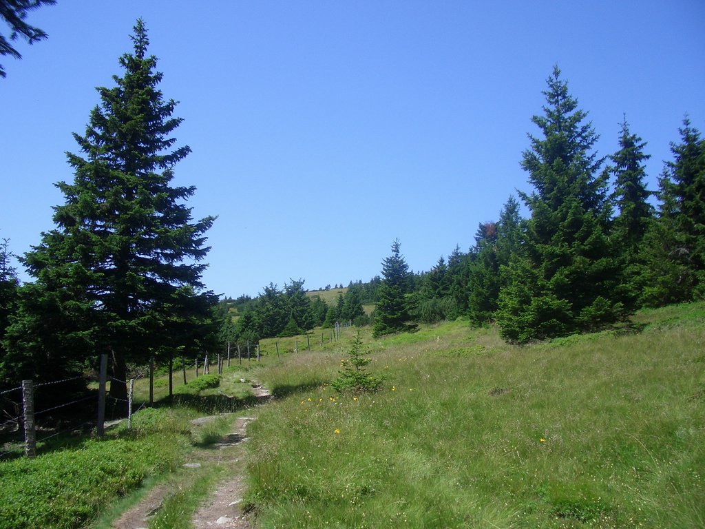 CIMG6396.JPG