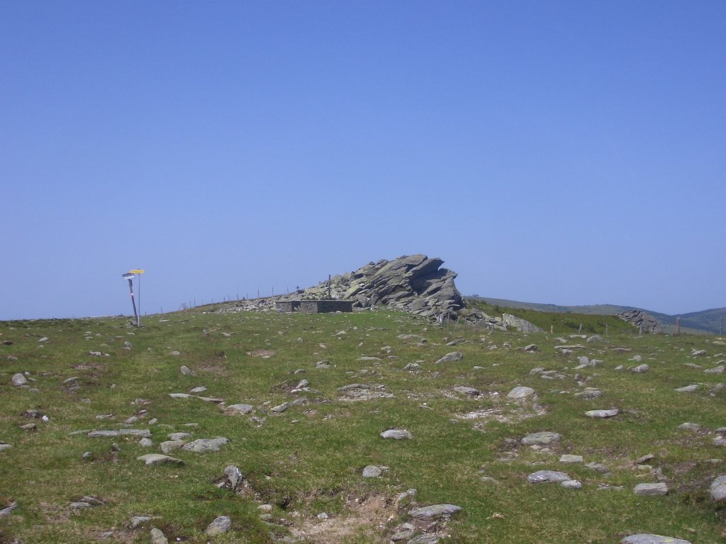 CIMG6402.JPG
