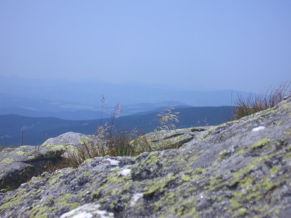 CIMG6409.JPG