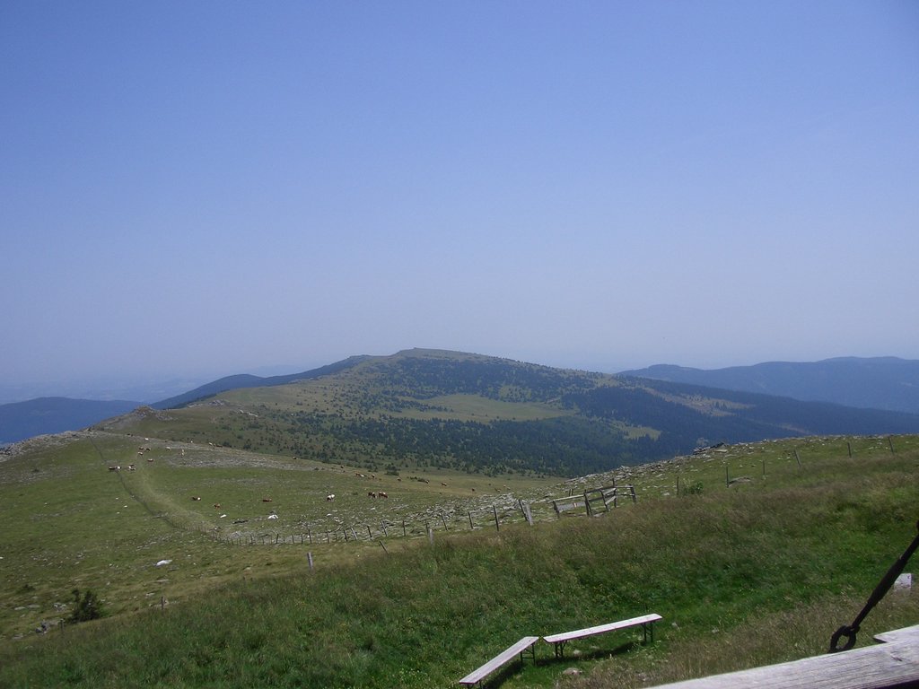 CIMG6437.JPG