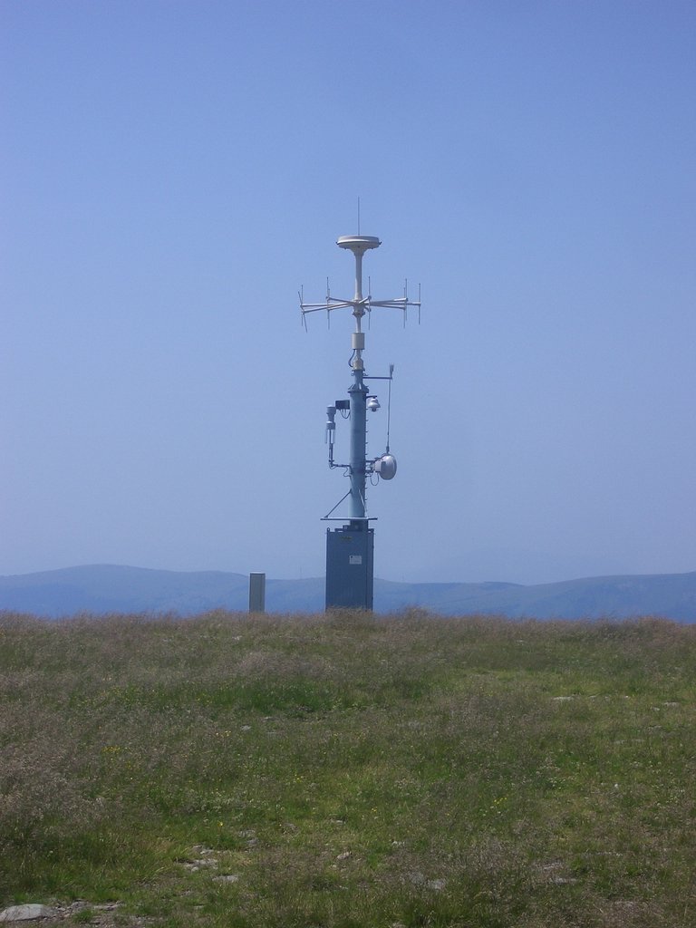 CIMG6443.JPG