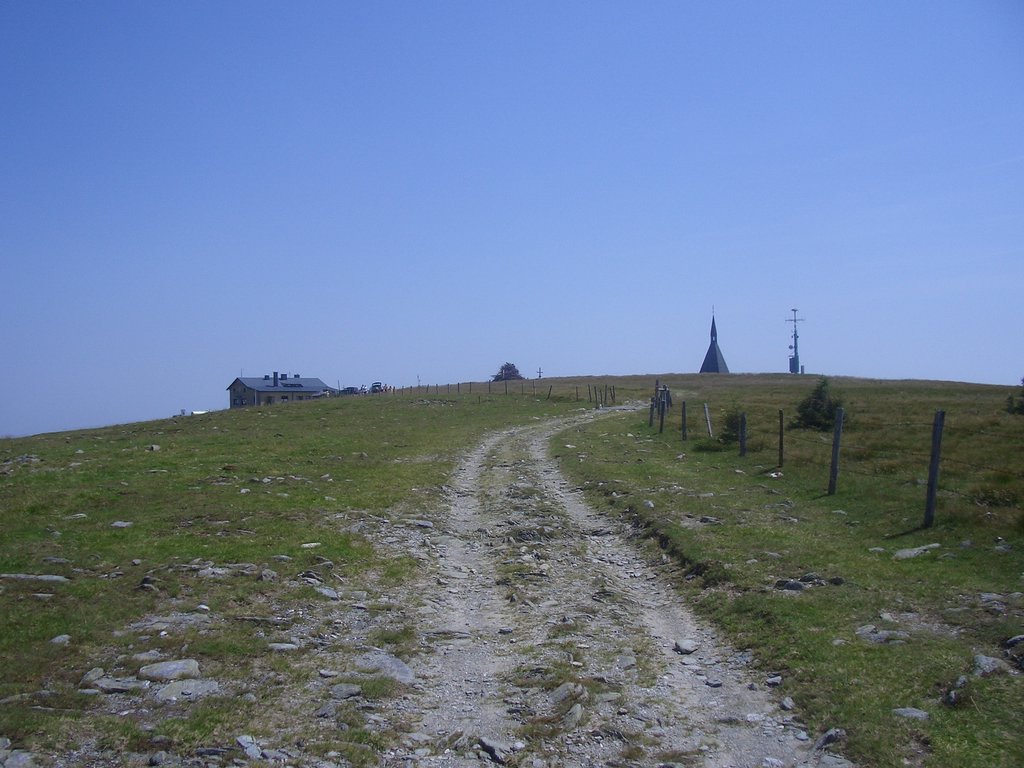 CIMG6446.JPG