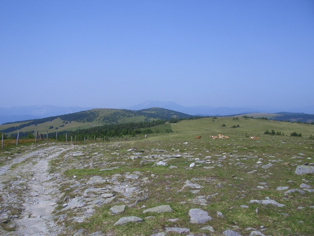 CIMG6447.JPG