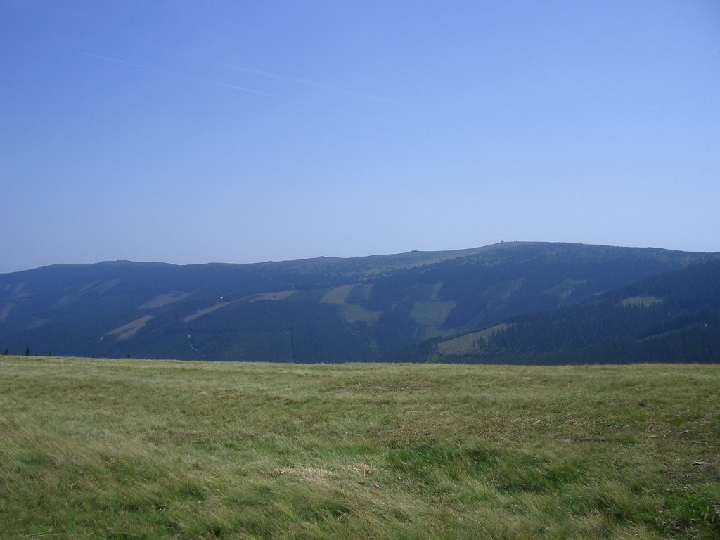 CIMG6458.JPG