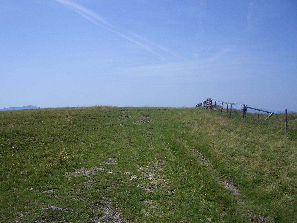 CIMG6459.JPG