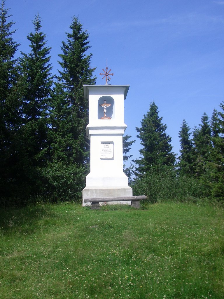 CIMG6461.JPG