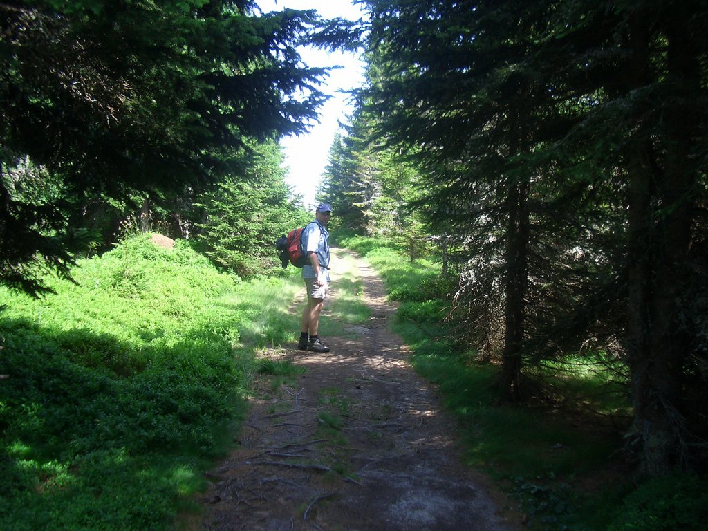 CIMG6465.JPG