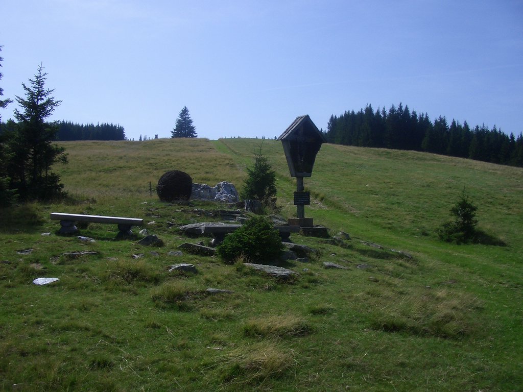 CIMG6472.JPG